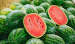 二豆娱乐吃瓜,揭秘娱乐圈吃瓜背后的真相